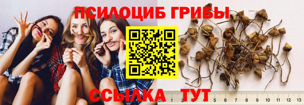 Псилоцибиновые грибы MAGIC MUSHROOMS  наркотики  Прокопьевск  Вход с VPN 